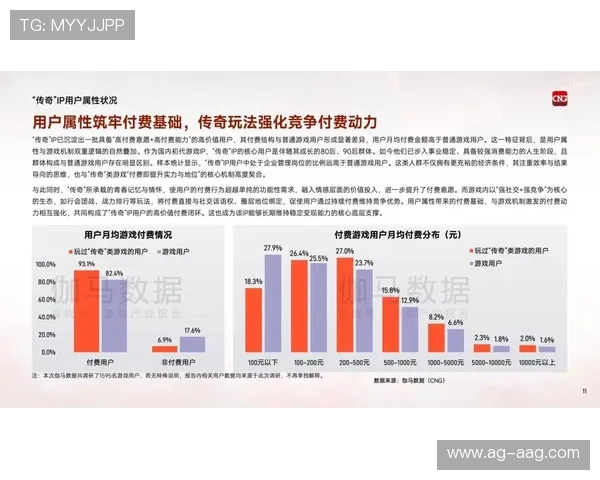 尊龙集团(Z6)在网络游戏行业中的创新实践与核心竞争力分析报告